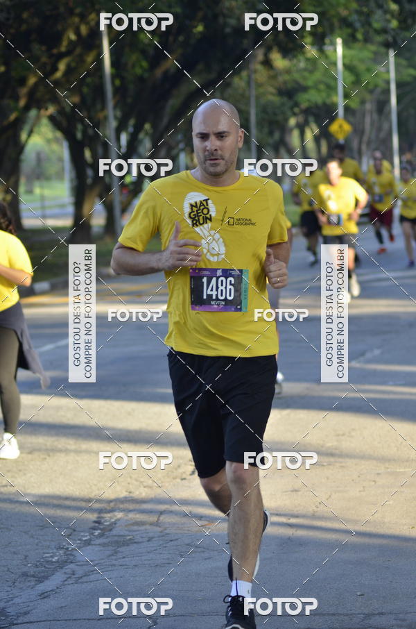 Buy your photos of the eventNat Geo Run on Fotop