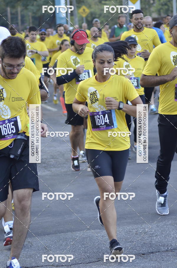 Buy your photos of the eventNat Geo Run on Fotop