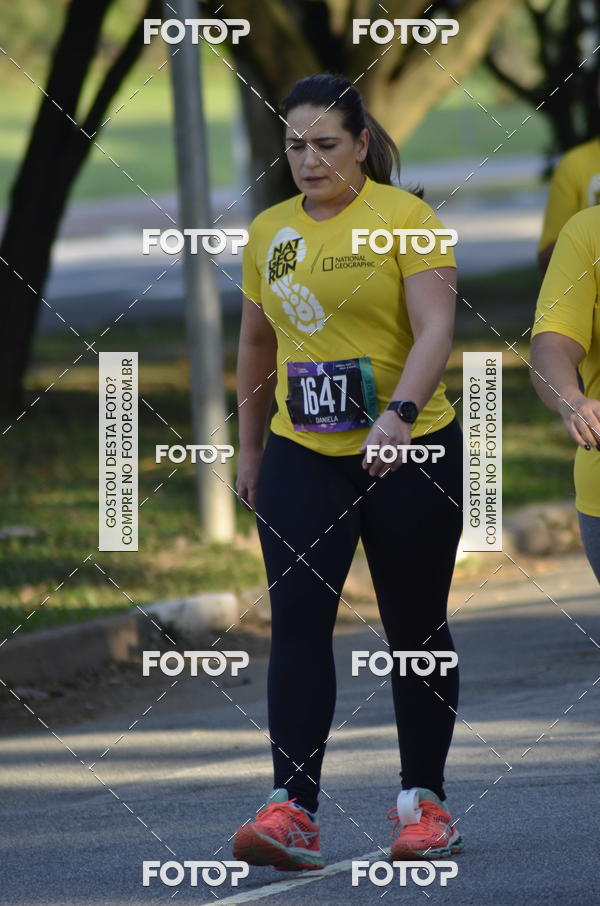 Buy your photos of the eventNat Geo Run on Fotop