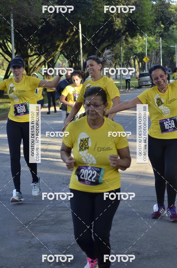 Buy your photos of the eventNat Geo Run on Fotop