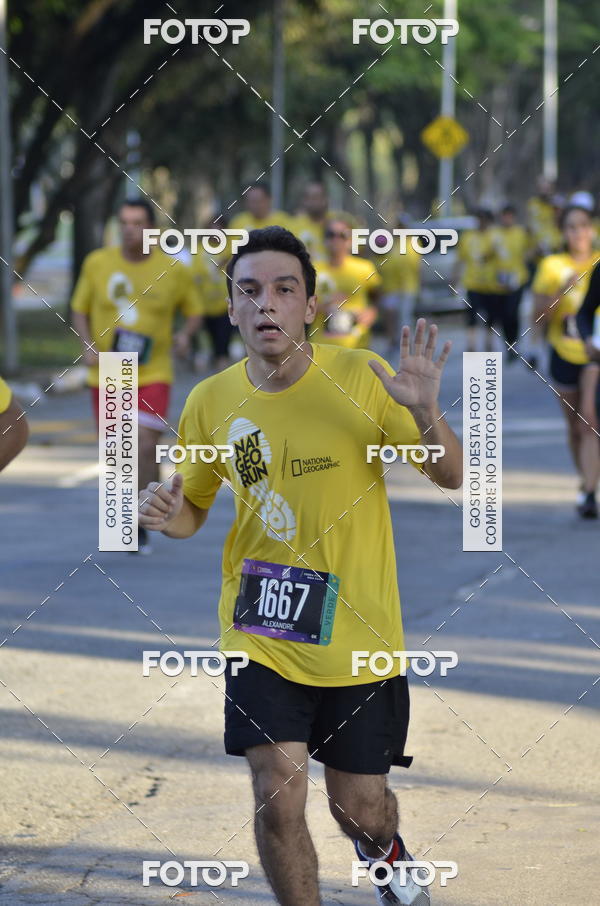 Buy your photos of the eventNat Geo Run on Fotop