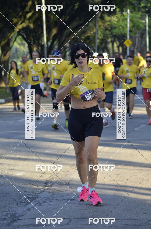 Buy your photos of the eventNat Geo Run on Fotop