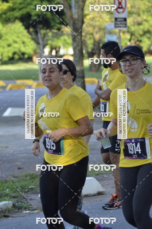 Buy your photos of the eventNat Geo Run on Fotop