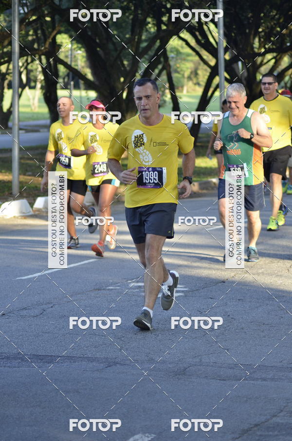 Buy your photos of the eventNat Geo Run on Fotop