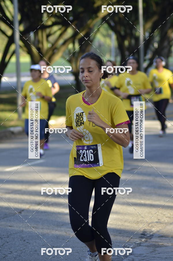 Buy your photos of the eventNat Geo Run on Fotop