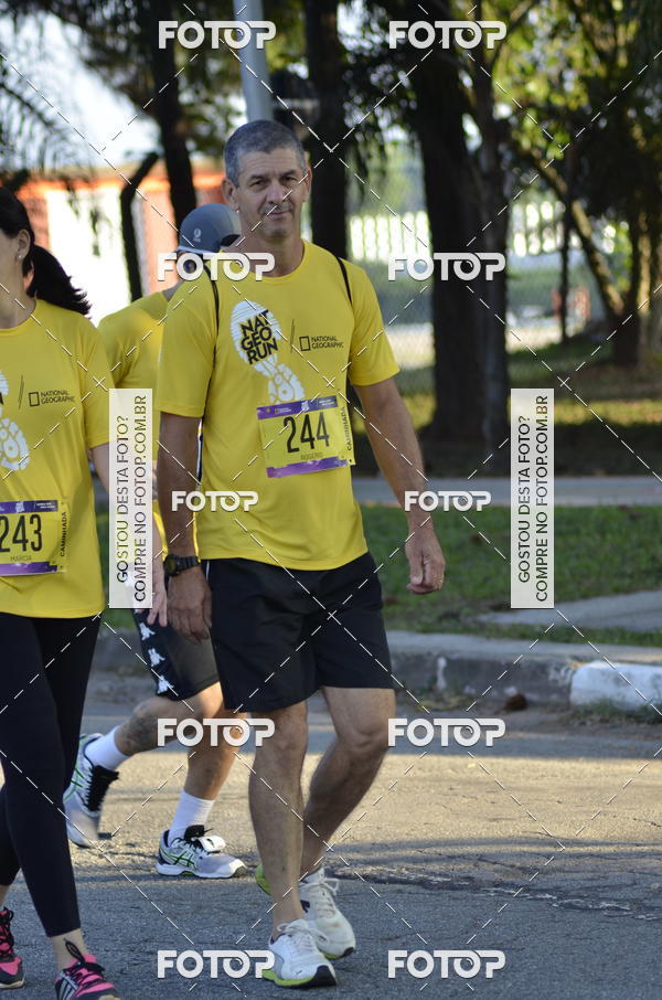 Buy your photos of the eventNat Geo Run on Fotop