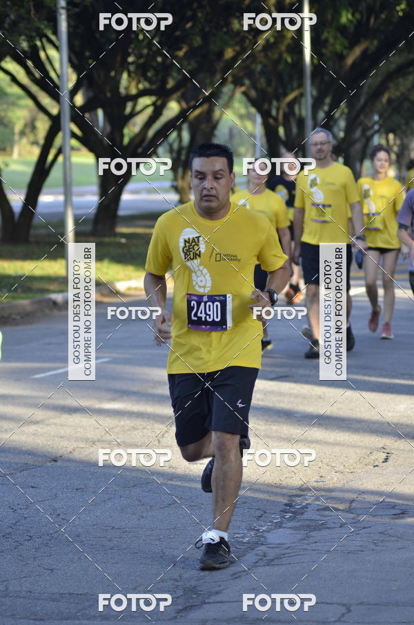 Buy your photos of the eventNat Geo Run on Fotop