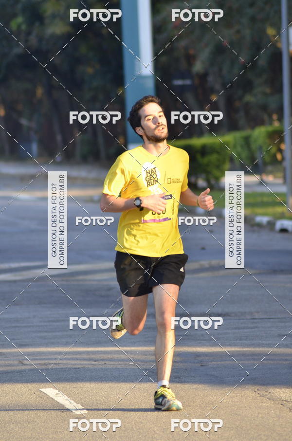 Buy your photos of the eventNat Geo Run on Fotop
