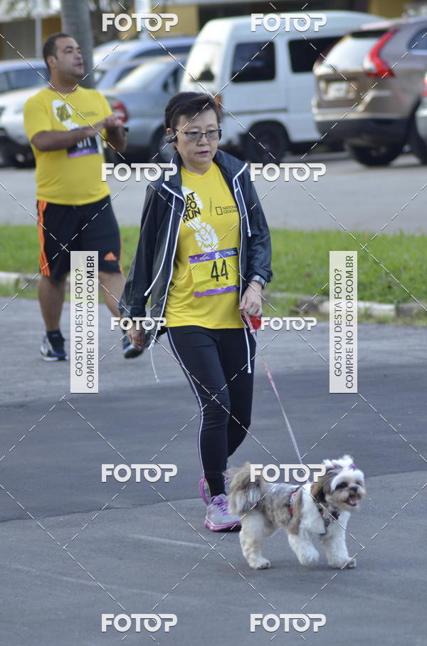 Buy your photos of the eventNat Geo Run on Fotop