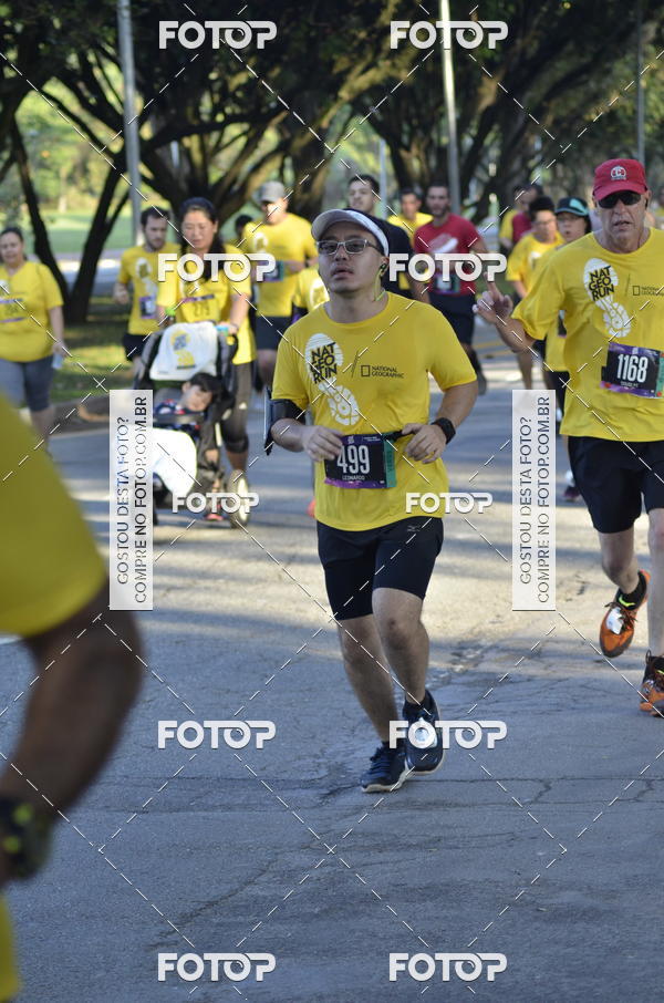 Buy your photos of the eventNat Geo Run on Fotop