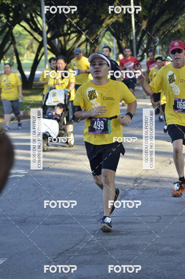 Buy your photos of the eventNat Geo Run on Fotop