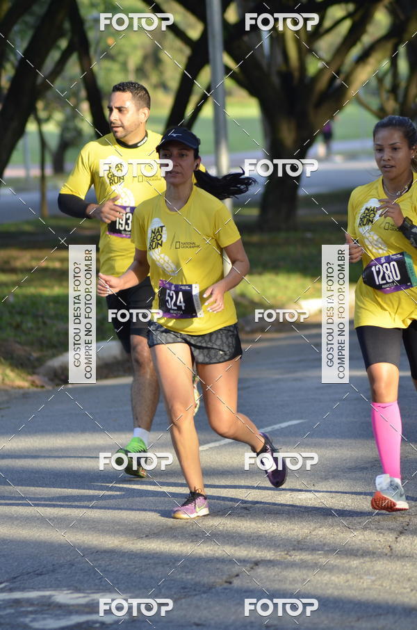 Buy your photos of the eventNat Geo Run on Fotop