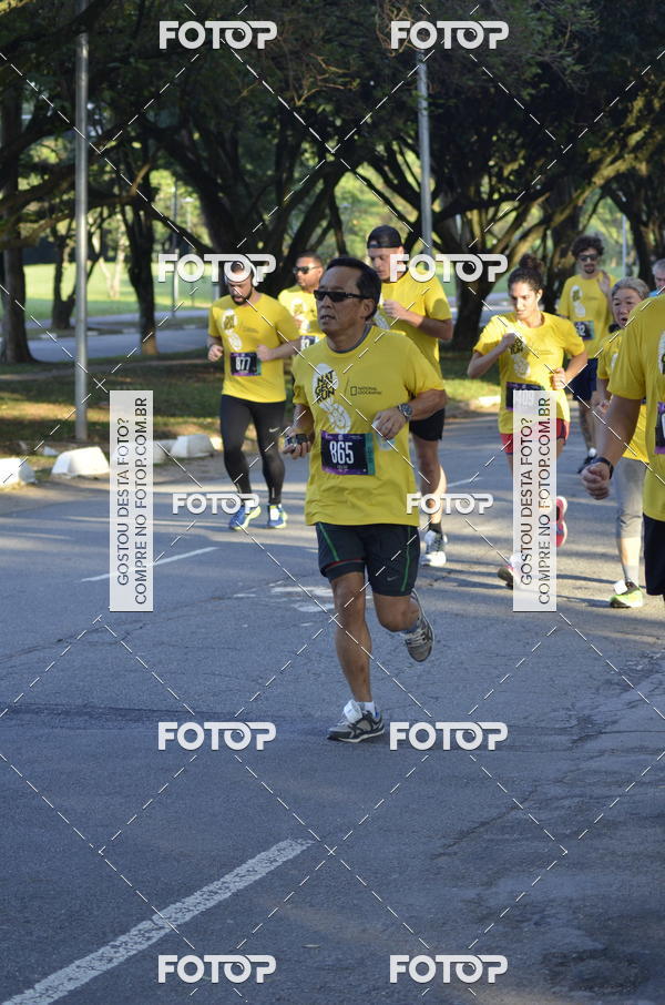 Buy your photos of the eventNat Geo Run on Fotop