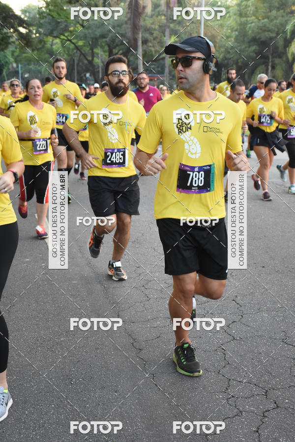 Buy your photos of the eventNat Geo Run on Fotop