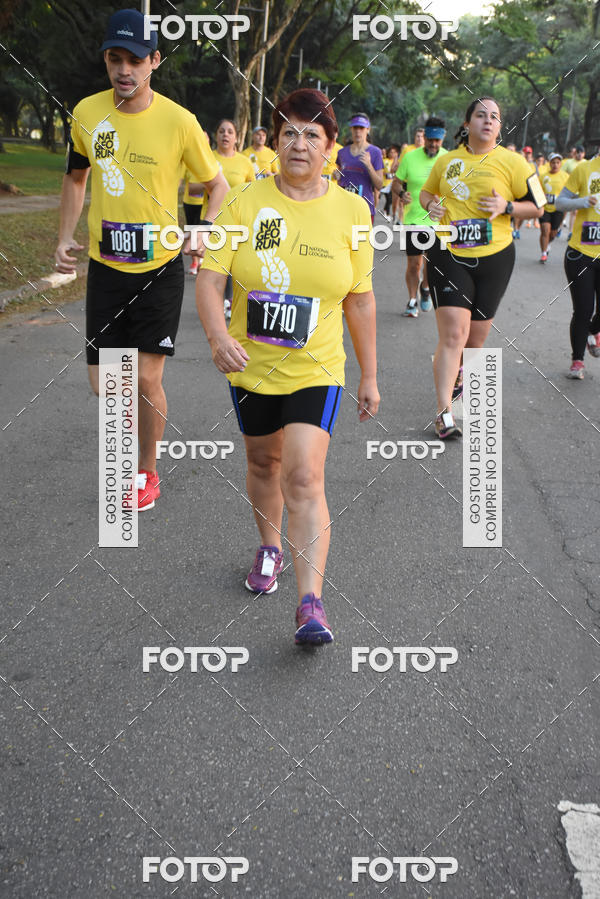 Buy your photos of the eventNat Geo Run on Fotop