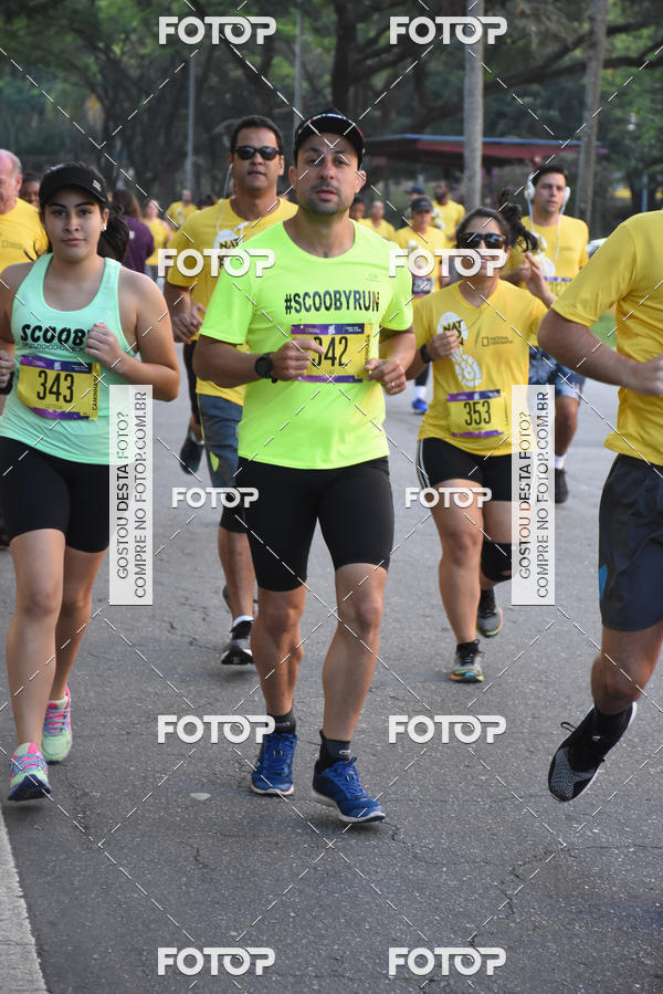 Buy your photos of the eventNat Geo Run on Fotop