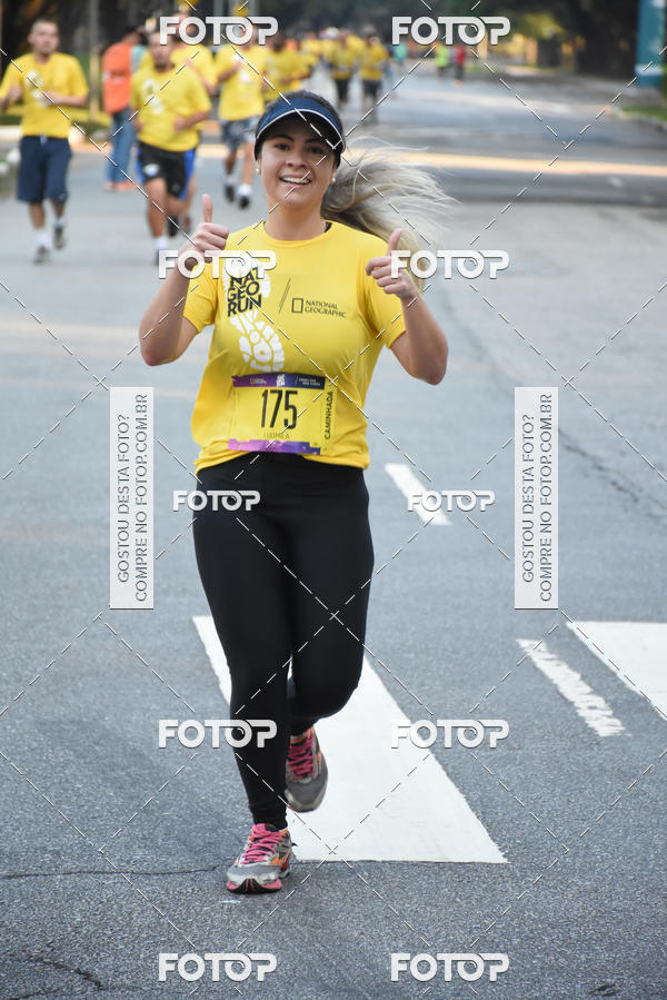 Buy your photos of the eventNat Geo Run on Fotop