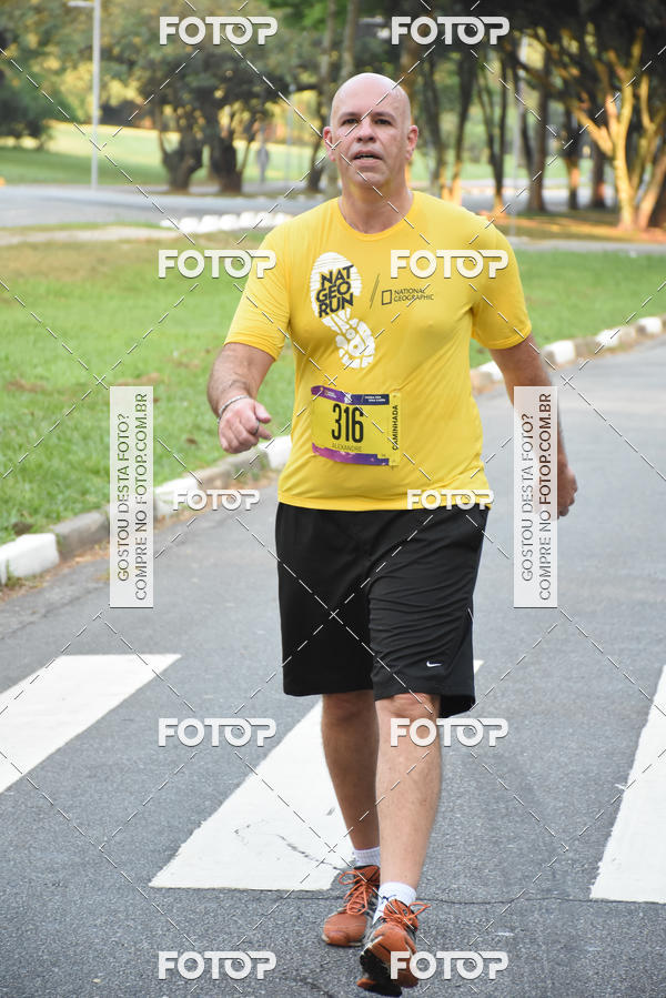 Buy your photos of the eventNat Geo Run on Fotop