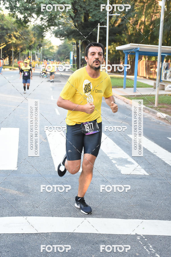 Buy your photos of the eventNat Geo Run on Fotop