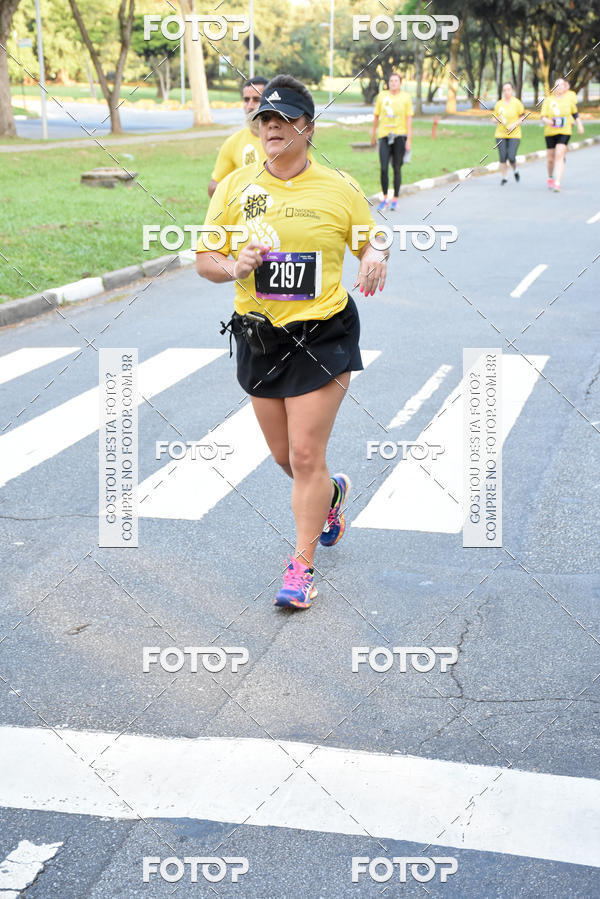 Buy your photos of the eventNat Geo Run on Fotop