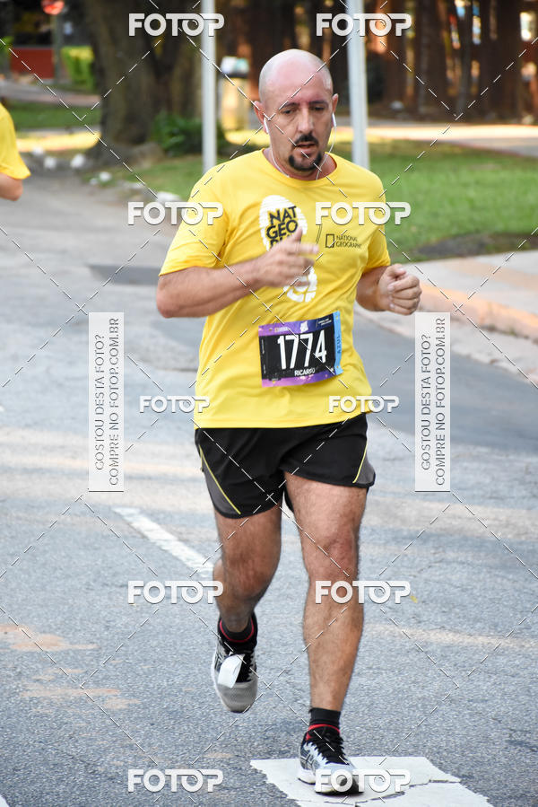 Buy your photos of the eventNat Geo Run on Fotop