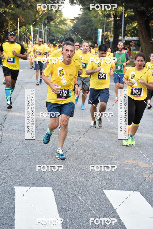 Buy your photos of the eventNat Geo Run on Fotop