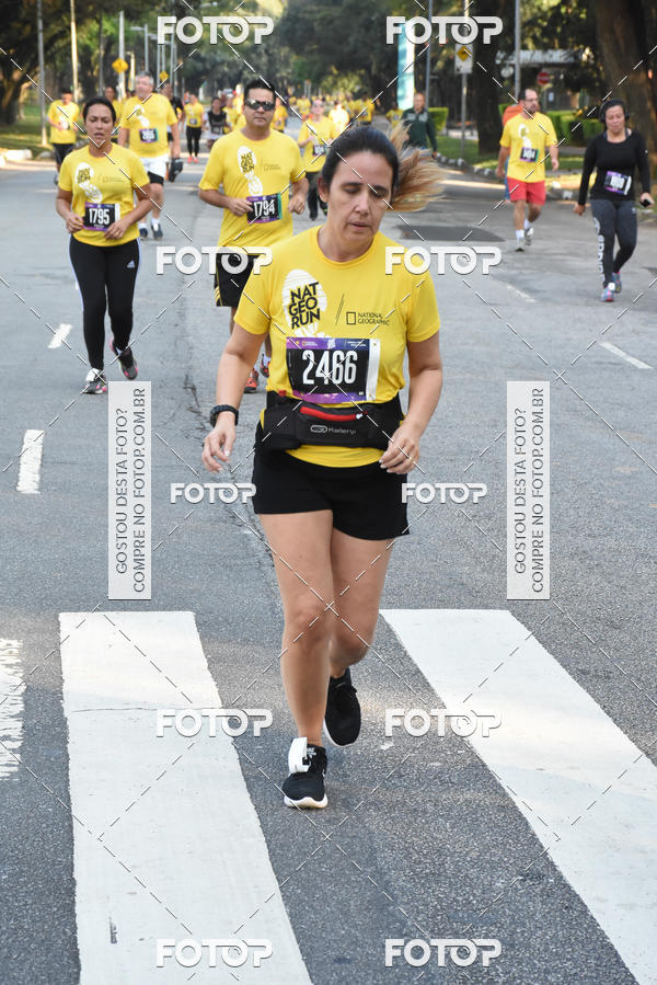 Buy your photos of the eventNat Geo Run on Fotop