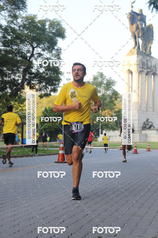 Compre suas fotos do eventoNat Geo Run no Fotop