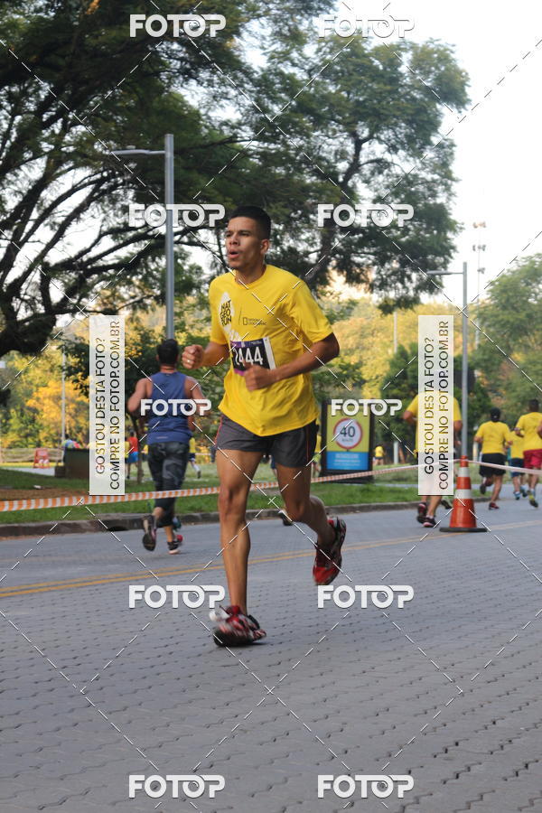 Acquista le foto dell'eventoNat Geo Run in Fotop