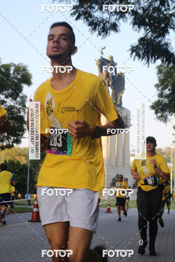Buy your photos of the eventNat Geo Run on Fotop