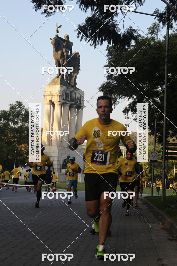 Compra tus fotos del eventoNat Geo Run En Fotop