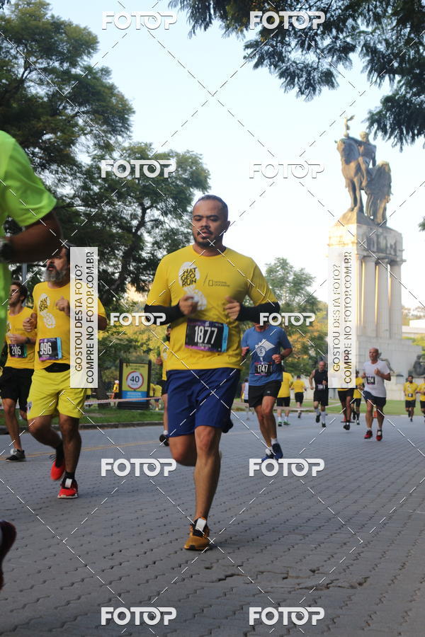 Compra tus fotos del eventoNat Geo Run En Fotop