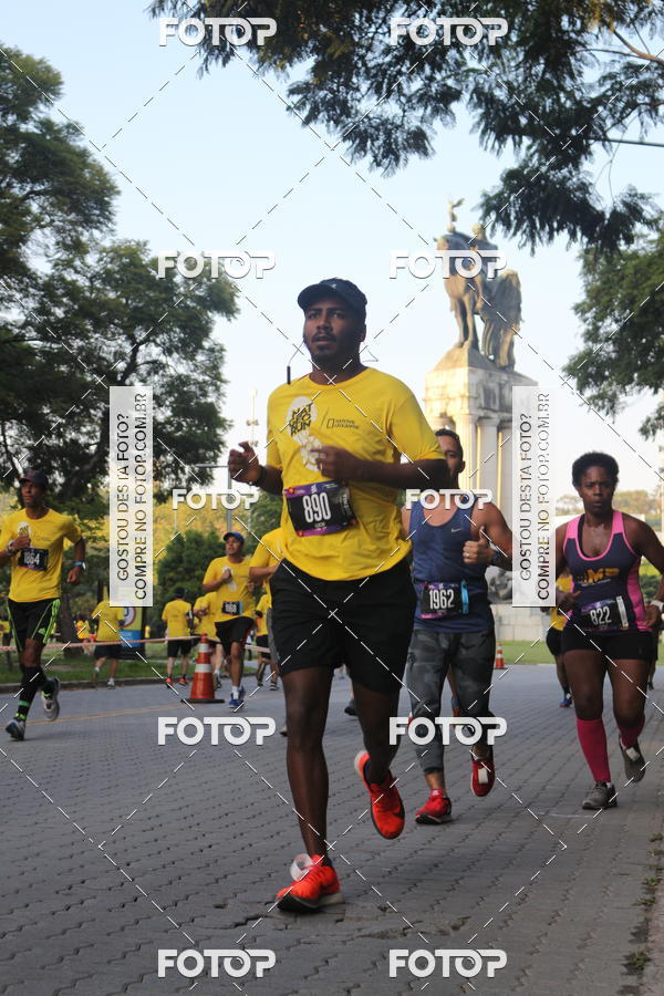 Compre as suas fotos do eventoNat Geo Run no Fotop