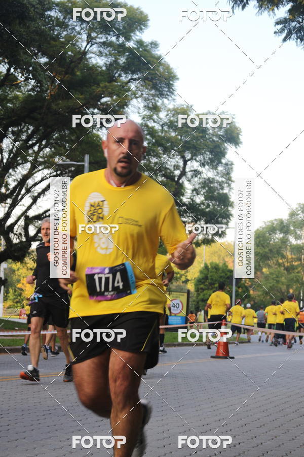 Buy your photos of the eventNat Geo Run on Fotop