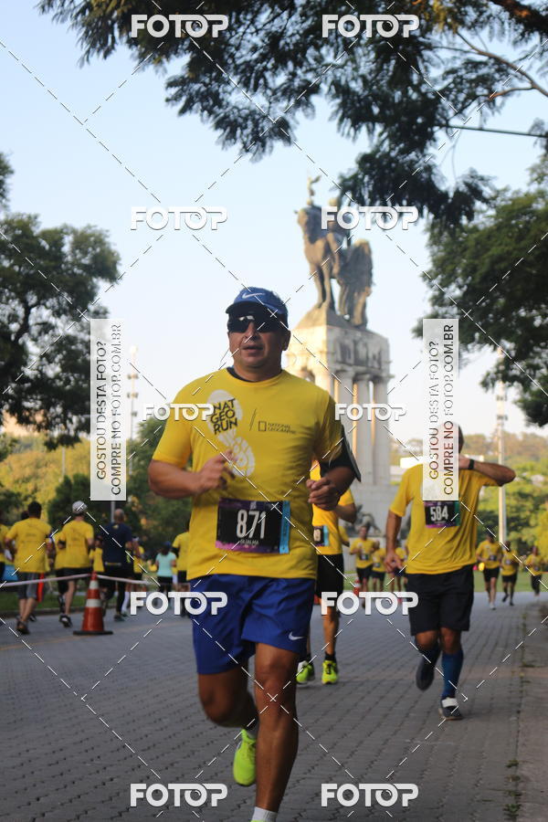 Buy your photos of the eventNat Geo Run on Fotop