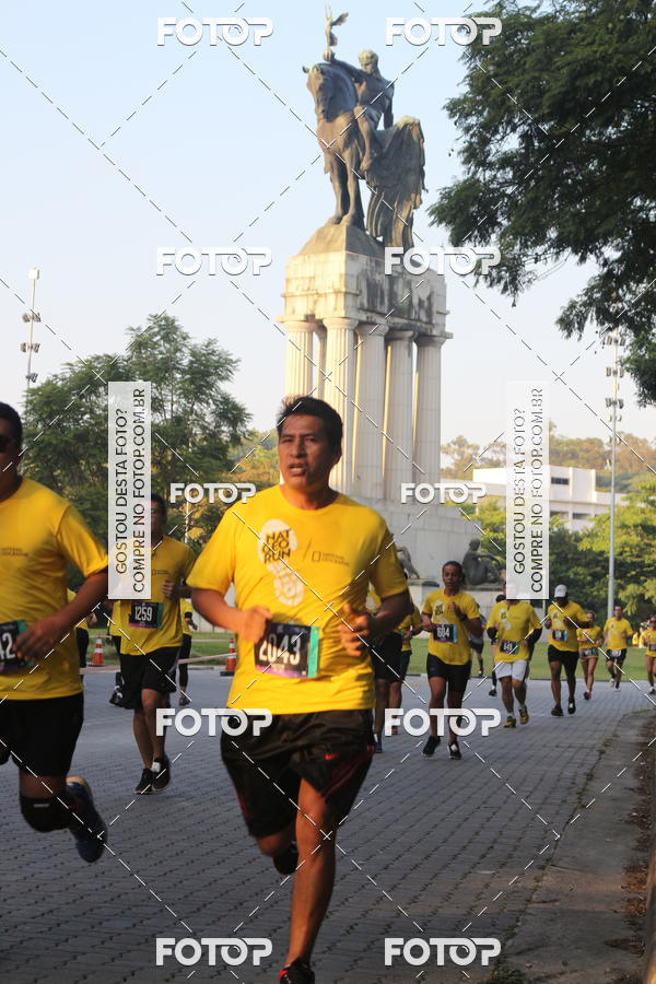 Buy your photos of the eventNat Geo Run on Fotop