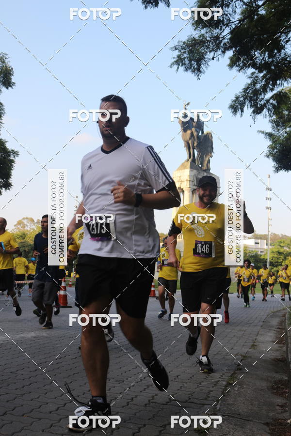 Buy your photos of the eventNat Geo Run on Fotop