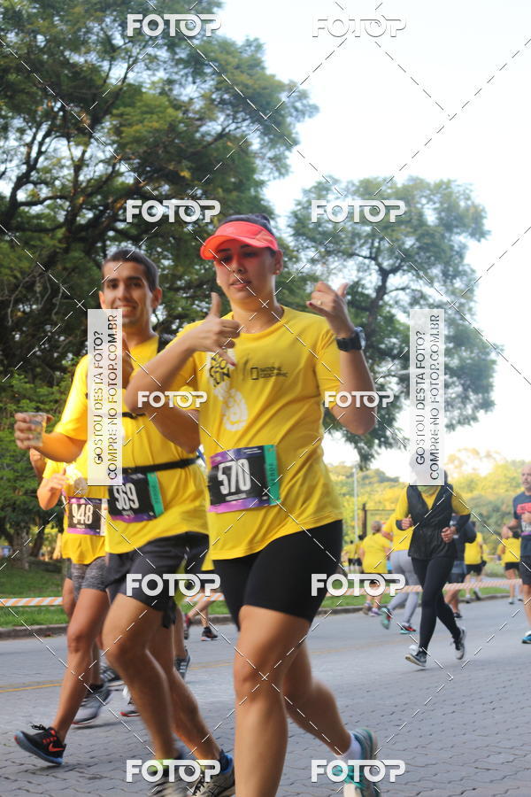 Compre as suas fotos do eventoNat Geo Run no Fotop