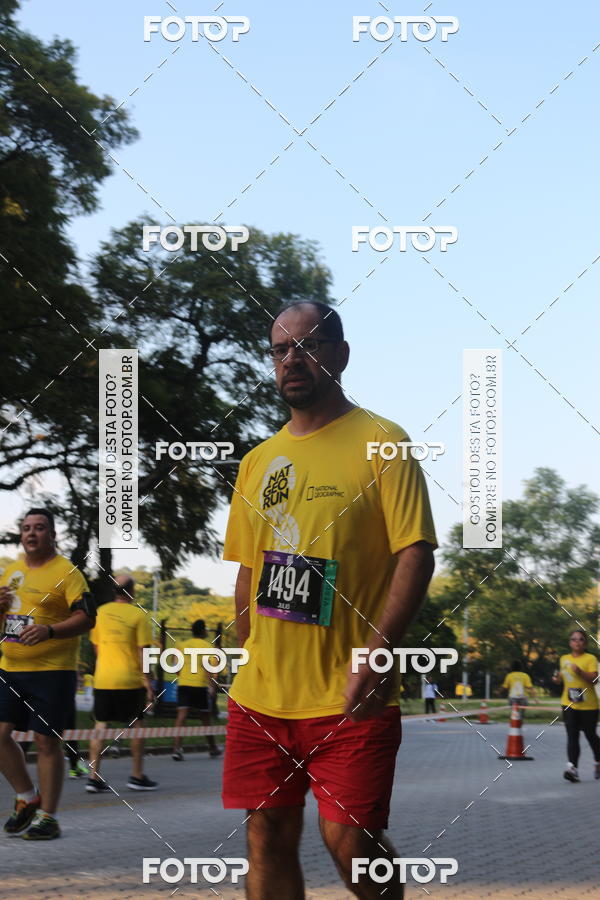 Buy your photos of the eventNat Geo Run on Fotop