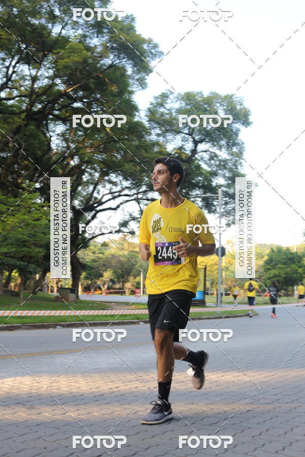 Buy your photos of the eventNat Geo Run on Fotop