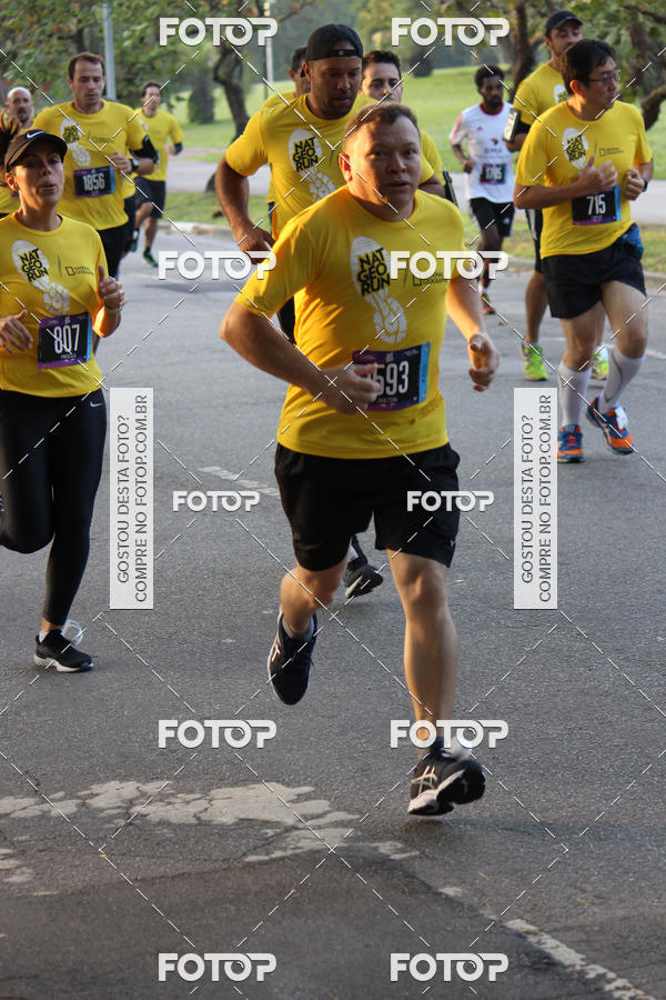 Compre suas fotos do eventoNat Geo Run no Fotop