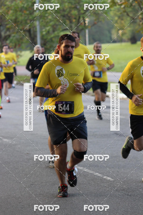 Compre suas fotos do eventoNat Geo Run no Fotop