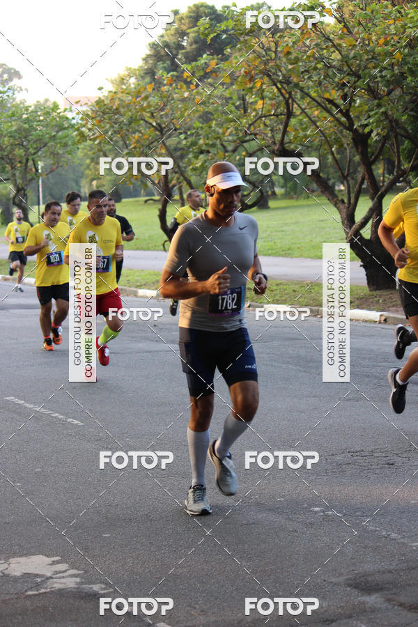 Compre suas fotos do eventoNat Geo Run no Fotop