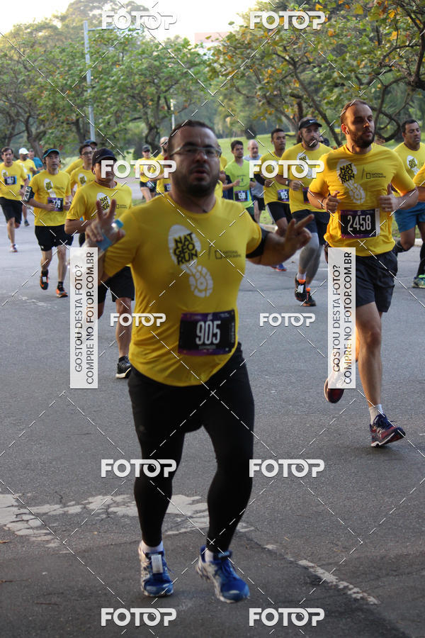 Compre suas fotos do eventoNat Geo Run no Fotop