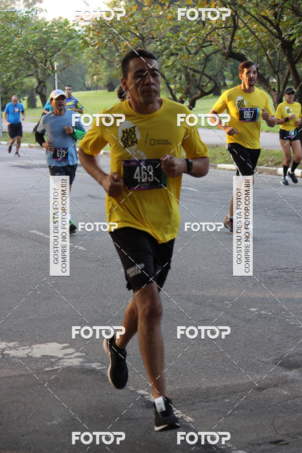 Compre suas fotos do eventoNat Geo Run no Fotop