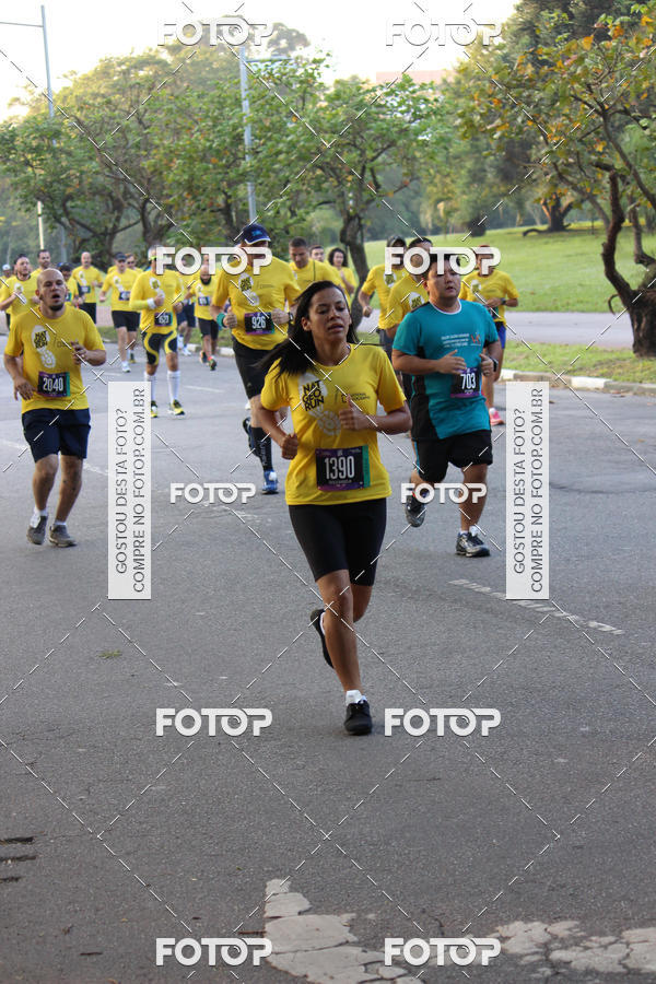 Compre suas fotos do eventoNat Geo Run no Fotop