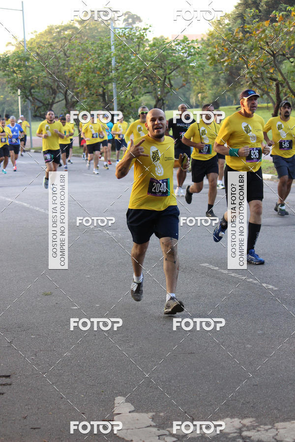 Compre suas fotos do eventoNat Geo Run no Fotop