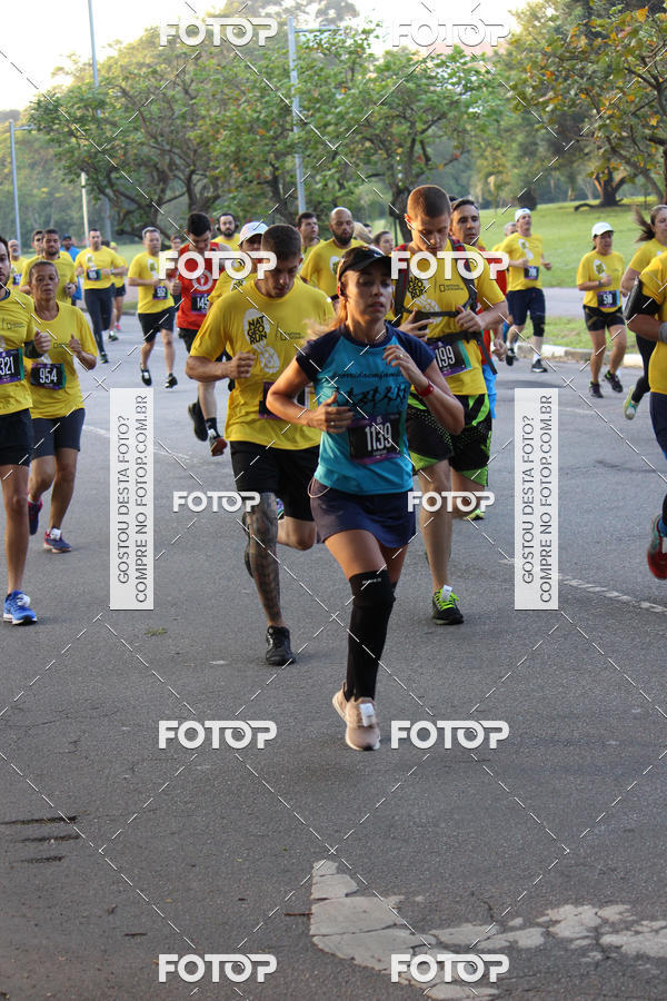 Compre suas fotos do eventoNat Geo Run no Fotop