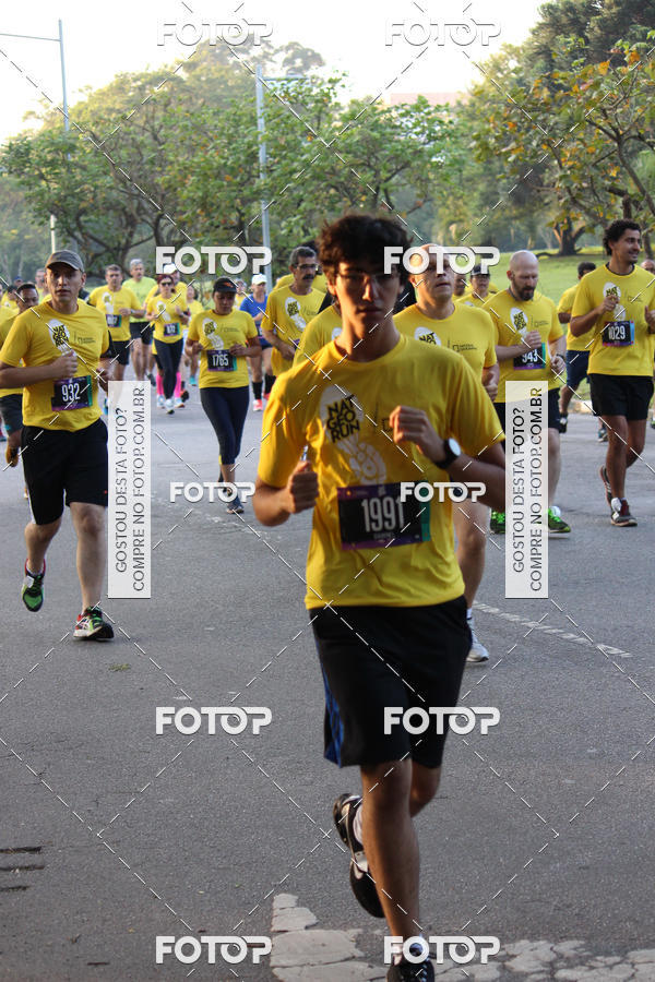 Acquista le foto dell'eventoNat Geo Run in Fotop