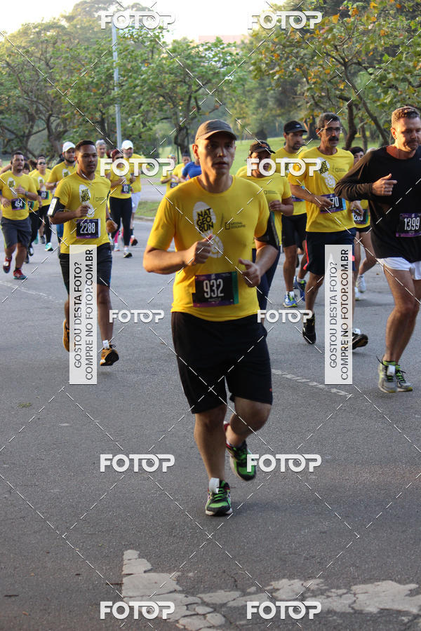 Acquista le foto dell'eventoNat Geo Run in Fotop